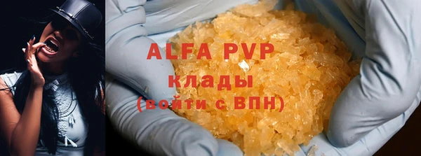 сатива Алзамай