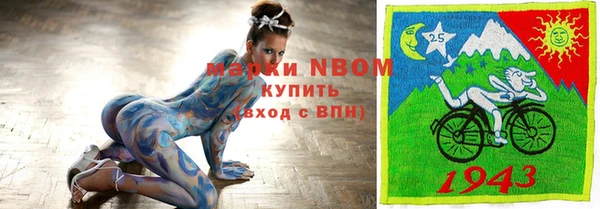 сатива Алзамай