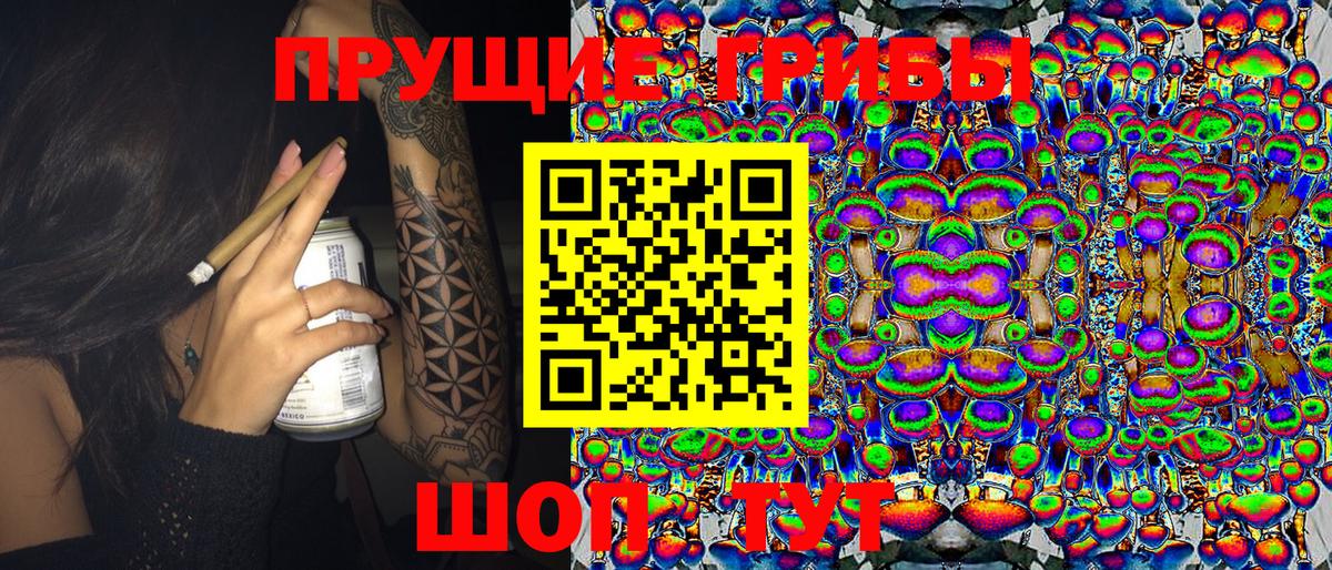 Псилоцибиновые грибы Psilocybine cubensis Ишим