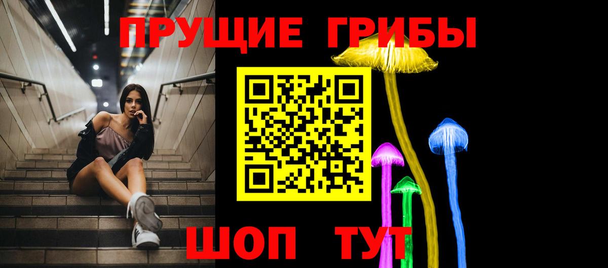 Ишим  Псилоцибиновые грибы Psilocybine cubensis  Вход с VPN 